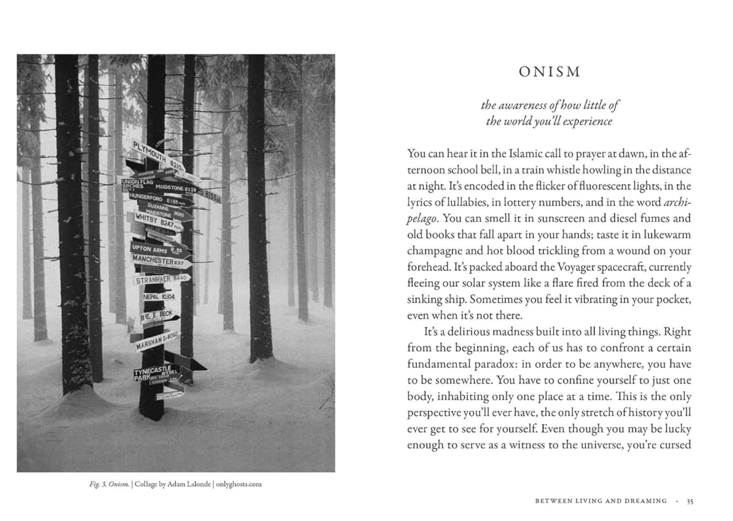 Cover image for Our Missing Words