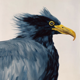 FlexTok 16-token reconstruction