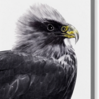 FlexTok 4-token reconstruction